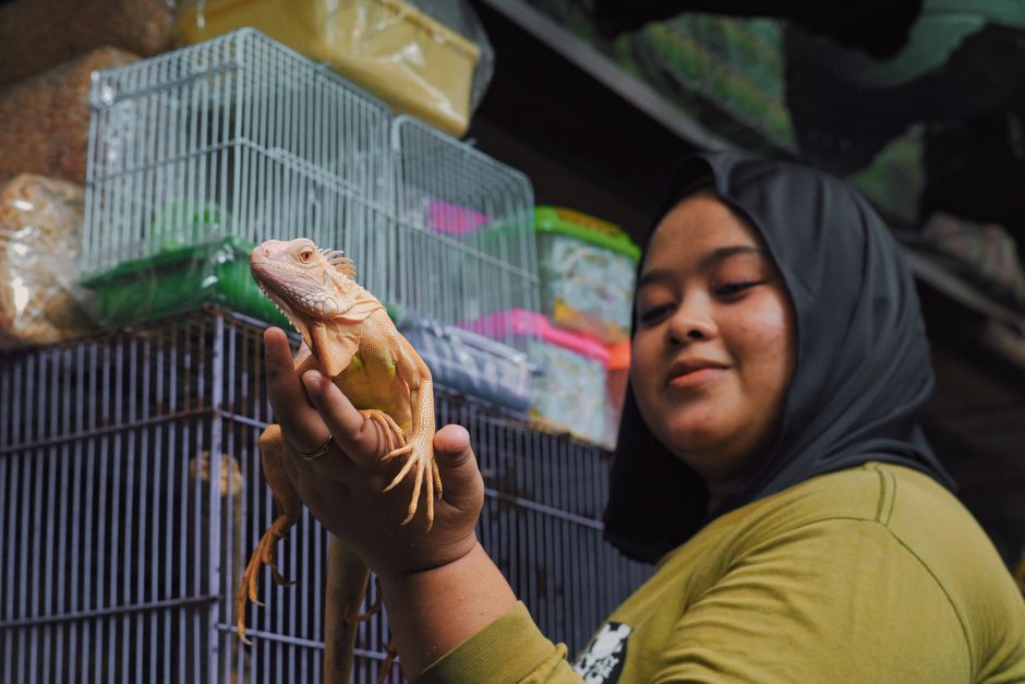 Portrait of a woman in a market holding an albino iguana, showcasing vibrant life in Jawa Barat, Indonesia.